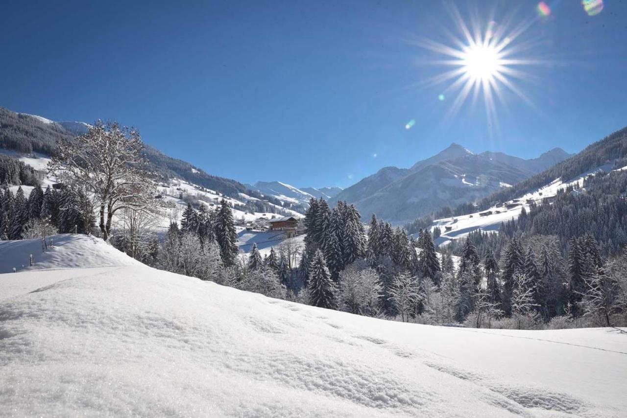 Apartmán Jaegerhof Alpbach Exteriér fotografie